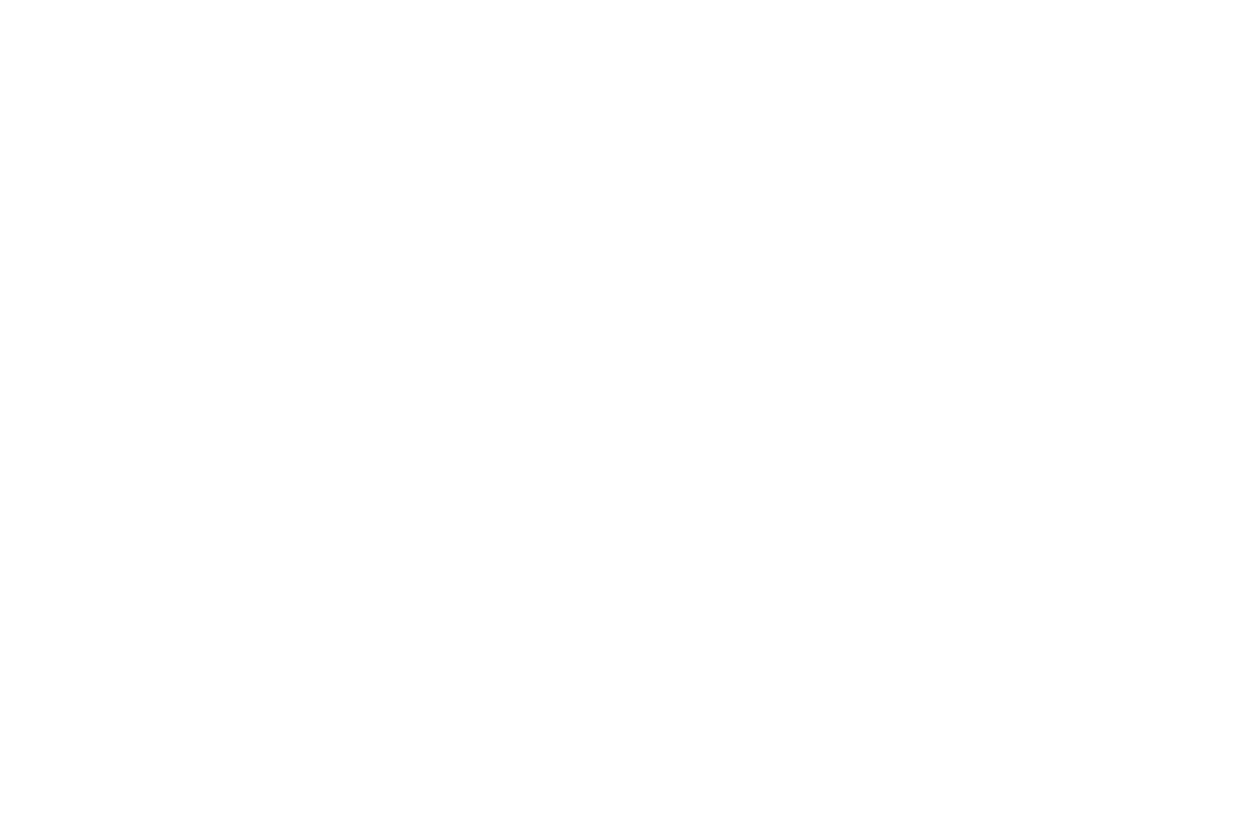 BEST NARRATIVE FEATURE BEST ORIGINAL STORY -Tony N Tinas Wedding white - 8 Halfilm Awards - 2023