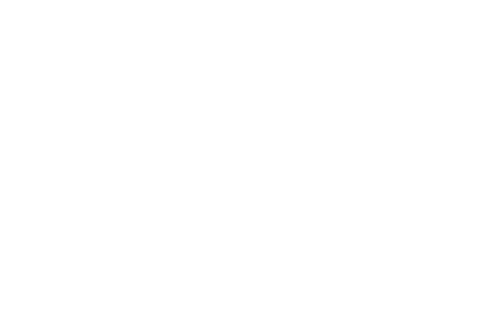 Best Director - Tony N Tinas Wedding - Frida Film Festival - 2023
